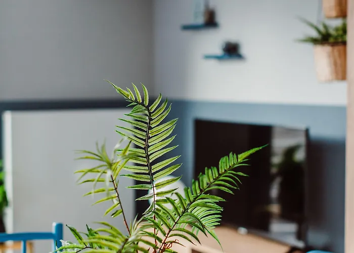 Apartment Mosquito Silesia *