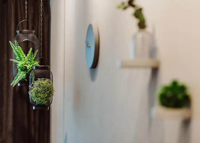 Mosquito Silesia * Katowice